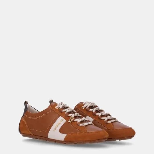 Zapatilla Amber Tempo LDL 61050001