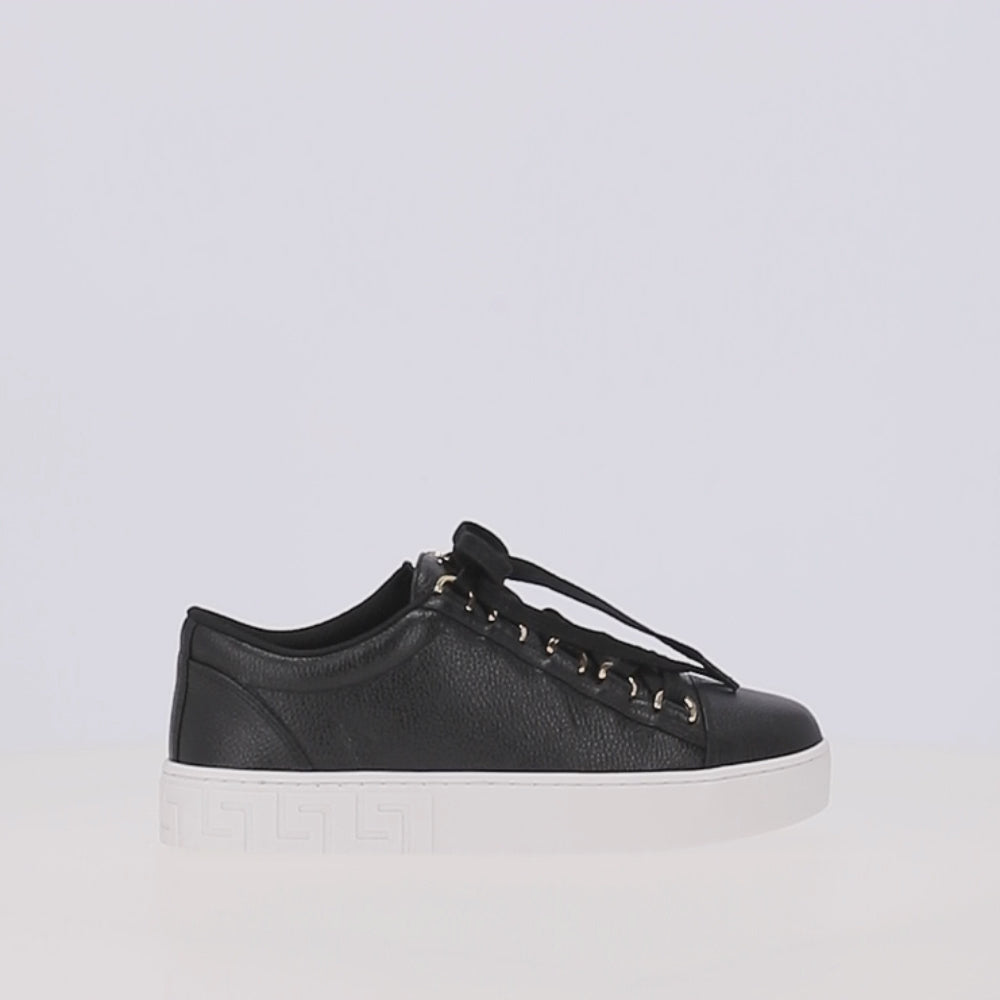 Zapatilla Urban Court LDL 59160009
