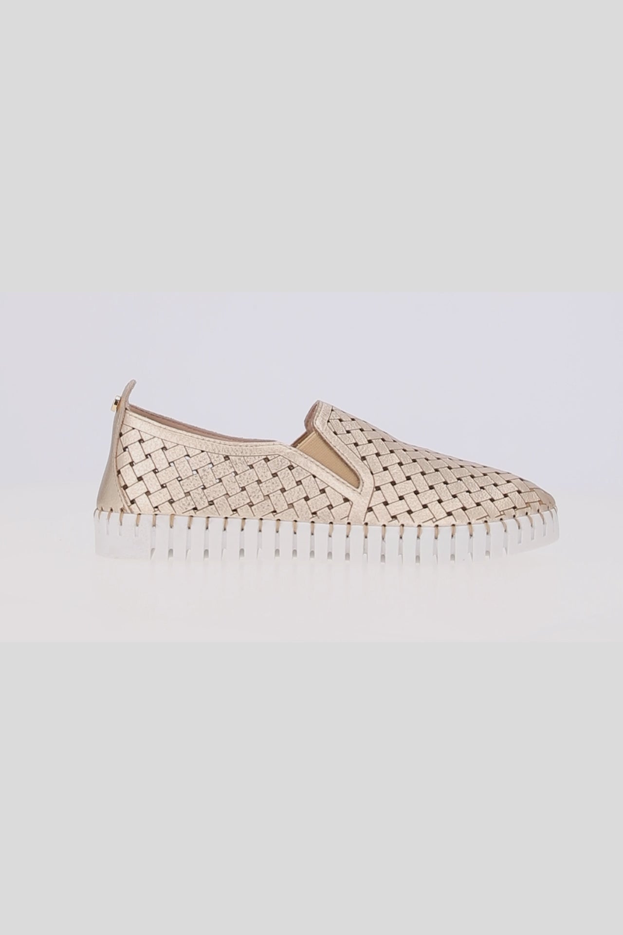 Zapatilla Comfort Lace LDL 60130024